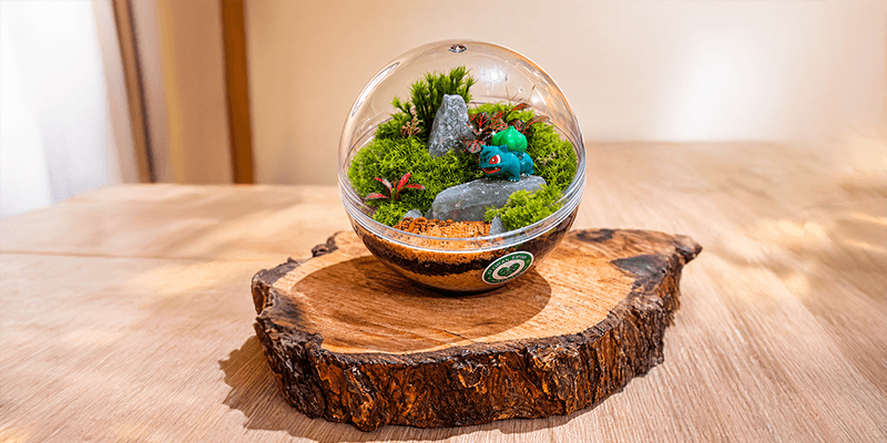 Pokerrário - Terrários com Miniaturas de Pokémon