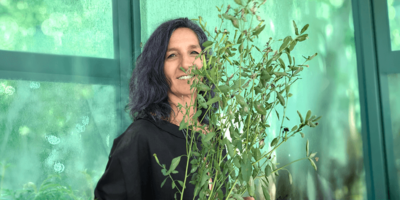 Biodiversidade, cultura alimentar e pães com ingredientes brasileiros
